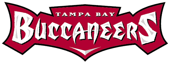 Tampa Bay Buccaneers 1997-2013 Wordmark Logo t shirt iron on transfers...
